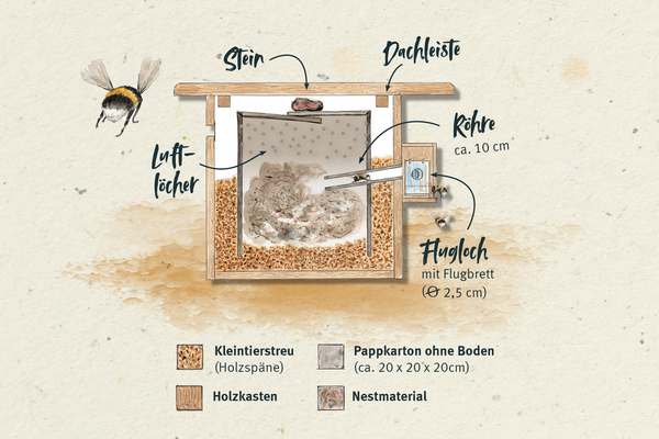 Hummelhaus bauen: Die Grafik zeigt, wie das Innere des Hauses gestaltet und das Dach angebracht wird.
